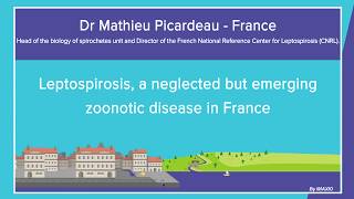 Dr Mathieu Picardeau  Leptospirosis a neglected but emerging zoonotic disease in France preview [upl. by Ardnama]