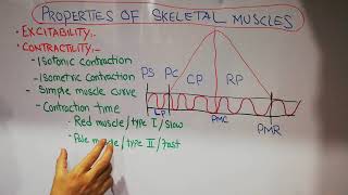 Guyton chap 6  Skeletal muscles CONTRACTILITY  isotonic isometric contraction  RED vs Pale L 37 [upl. by Lenhart659]