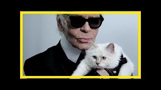 Choupette twittert Luxusleben als Katze von Karl Lagerfeld [upl. by Leopold521]