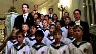 Wiener Sängerknaben  Vienna Boys Choir Hallelujah [upl. by Adorl]