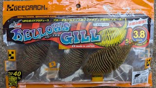 Fishing with Japanese Soft Plastics Geecrack Bellows Gill [upl. by Mackler]