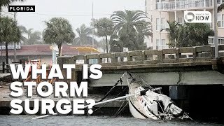 What Is Storm Surge Meteorologist explains the phenomenon of hurricanes [upl. by Darda]