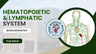 Biochemistry L4 C1C2 Porphyrin metabolism [upl. by Iramohs]