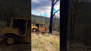 Using a logging truck to push over dead trees [upl. by Tamarah]