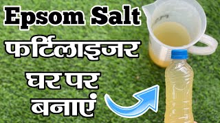 Epsom Salt फर्टिलाइजर घर पर बनाए पौधा राकेट की तरह ग्रो करेगा [upl. by Ailadgim]