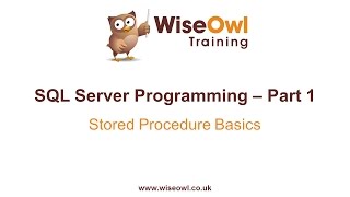 SQL Server Programming Part 1  Stored Procedure Basics [upl. by Abbub]