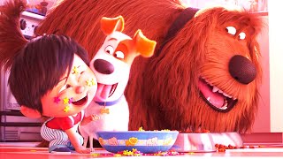 Secret Life of Pets 2 Full Movie  Secret Life of Pets  Dog  Pets  Miss Recap [upl. by Lanor]