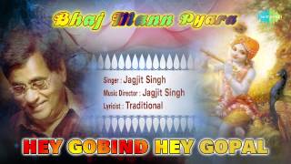 Hey Gobind Hey Gopal  Hindi Devotional Song  Jagjit Singh [upl. by Landon]