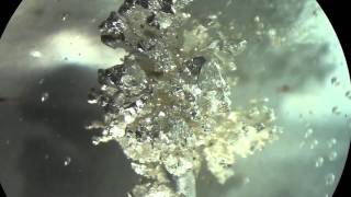 Grow Silver Metal Crystals by Electrochemistry [upl. by Divadnhoj]