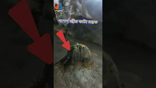 গণেশের আসল মাথা গোপনে রাখা আছে ganesh ganeshchaturthi patalbhuvaneshwar [upl. by Ojimmas504]