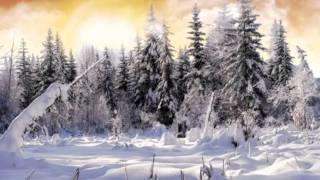 LHiver Largo  Vivaldi wmv [upl. by Tloc]