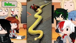 MHABNHA Character React to Dekus Pets moreViralFunny Trending TiktokMHABNHAGacha Club 9 [upl. by Spatola]