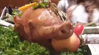 Macedonian Pig Dance SongSong for the Godfather [upl. by Assirahs]