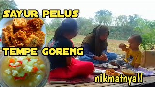 Masak sayur pelus  mukbang bersama anak²  nikmat bangethidup di desadaily vlog [upl. by Nylcoj]