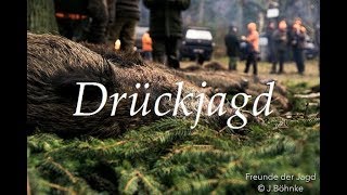 Drückjagd im Wilden Osten  Unterwegs mit den Hunter Brothers Teil 12 [upl. by Coates323]