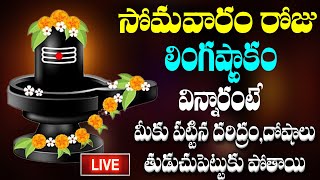 సోమవారం రోజు లింగాష్టకం మీ ఇంట్లో ధ్వనిస్తే మాహా శివుని కృప మీ పై ఉంటుంది [upl. by Ydne]