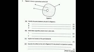 2024 GCE BIOLOGY PAPER 2 SECTION A Q1 [upl. by Shaia]