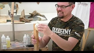 Learn Taxidermy Part 3 Reproduction Fish Molding amp Casting [upl. by Anail]