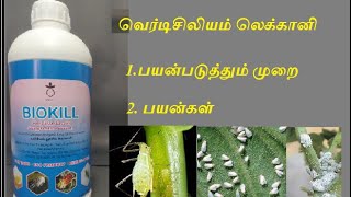 Verticillium lecanii  Omega Ecotech வெர்டிசிலியம் லெக்கானி [upl. by Leidag]