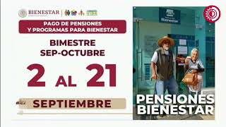 Por ahora la pensión para adultos mayores que viven en el extranjero se tramita en México Montiel [upl. by Carine29]