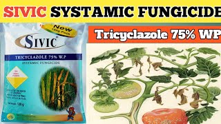 SIVIC SYSTAMIC FUNGICIDE  sivic fungicide  Tricyclazole 75 WP [upl. by Muir]