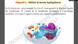 Hyaloplasme 1 [upl. by Susannah]