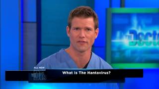 Symptoms of Hantavirus  The Doctors [upl. by Cecilla966]