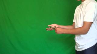 Balisong Tutorial Reverse Grip Aerial Beginner [upl. by Kiersten]