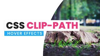 CSS Clip Path Hover Circle Hover Effects  Html CSS [upl. by Elauqsap]