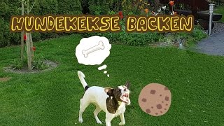 Hundekekse mit einer Backmischung [upl. by Hoj770]