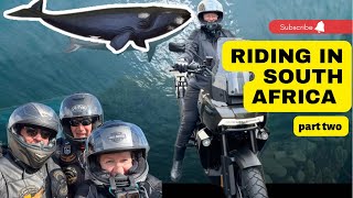 South Africa Part 2 Motorcycle Trip Cape Town to Hermanus harleydavidson [upl. by Zohara123]