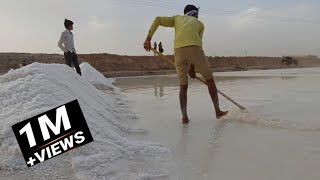 कैसे बनता है नमक  Salt making video  Salt making process [upl. by Burhans]