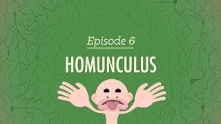 Homunculus Crash Course Psychology 6 [upl. by Atiloj]