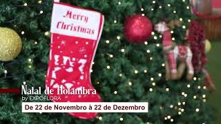 Veja como foi o Natal de Holambra 2023 [upl. by Terchie]