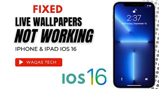 How To Fix Live Wallpaper Not Working On iOS 16 Update  Live Wallpaper Not Working On iPhone [upl. by Ssitruc]