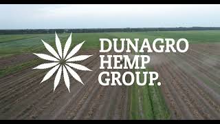 DunAgro Hemp Group  Hennep Hakselen 2024 [upl. by Aidin554]