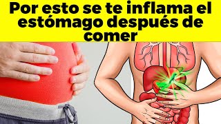 5 razones por la que se inflame el estómago cada vez que comes [upl. by Adnaluy]