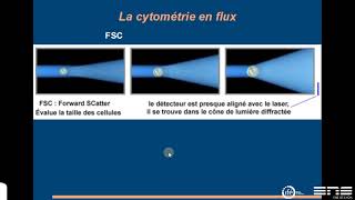 la cytométrie en flux [upl. by Carita]