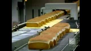 How the Process Of Bread Making Occurs  HowiTOccurs [upl. by Yve]