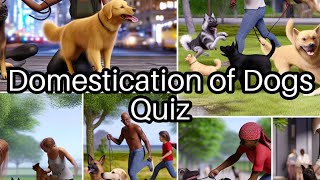 🐾 Test Your Knowledge How Well Do You Know Dogs Take the Challenge 🐶 [upl. by Analos350]