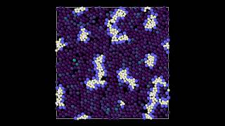 LAMMPS Example Micelle [upl. by Ennoitna788]