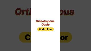 Orthotropous Ovule [upl. by Casie]