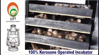 Reliable Kerosene lamp Incubator [upl. by Auos]