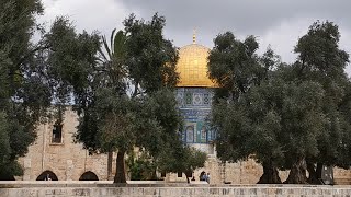 آذان وصلاة الظهر من المسجد الاقصى المبارك Adhan and Dhuhr prayer from AlAqsa Mosque [upl. by Honna]