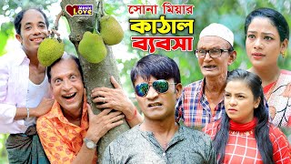 সোনা মিয়ার কাঠাল ব্যবসা  আঞ্চলিক নাটক  তেইল্লাচোরা সোনামিয়ালেডামিয়াইদ্রিস Ctg Comedy Natok 2021 [upl. by Haisoj850]