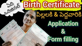 Birth certificate application full details ll బర్త్ సర్టిఫికేట్ అప్లై చేసుకోవడం ఎలా ll Meeseva [upl. by Boyer182]