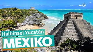 Yucatán – Mexikos Urlaubsparadies  ARD Reisen [upl. by Gun761]