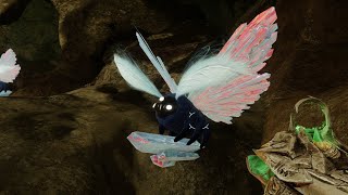 Reports of a unique Lucent Moth in the Temple of the Wrathful  Lepidopterist  Destiny 2 [upl. by Poppo]