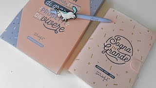 RECENSIONE AGENDA MR WONDERFUL poket giornaliera Unboxing e prime impressioni [upl. by Laraine]