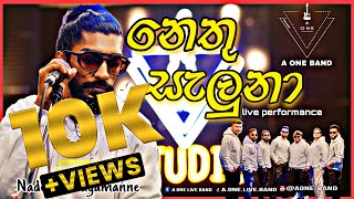 Nethu Seluna  A ONE BAND LIVE PERFORMANCE at ITALY NAPOLI නෙතූ සැලුනා Romesh Sugathapala [upl. by Karsten]